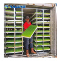 Hydroponic Farming greenhouse hydroponic fodder container